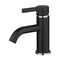 Fauceture Continental Single-Handle Bathroom Faucet W/ Push Pop-Up, Black/Chrome LS8227CTL - alternate 1
